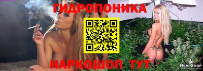 МДМА Новозыбков
