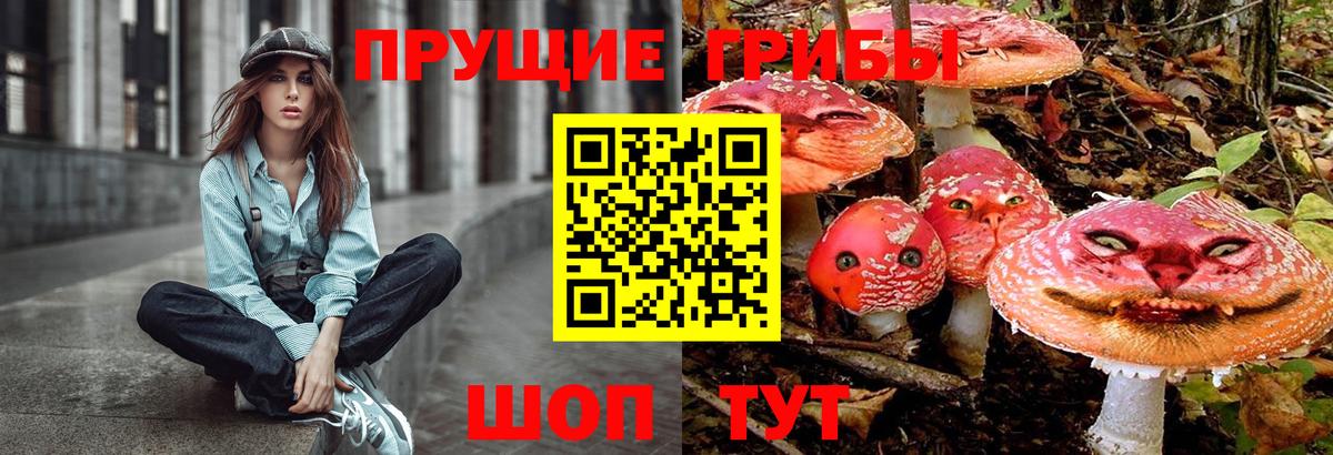 Псилоцибиновые грибы MAGIC MUSHROOMS Сосновоборск